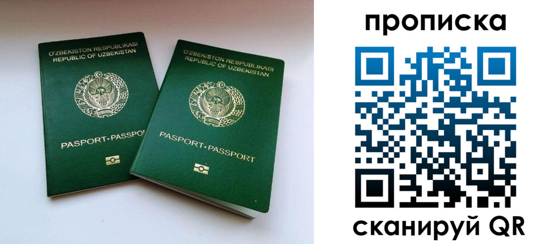 прописка поиск в Алатыре